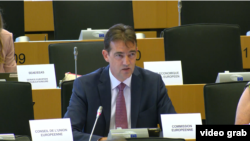 მიხაელ როპი ევროპარლამენტის საგარეო კომიტეტის სხდომაზე, 13 ივლისი