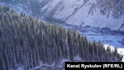 Ала-Арча паркы. 