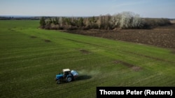 Egy traktor műtrágyát szór szét egy búzamezőn Jakovlivka falu közelében 2022. április 5-én, miután a Harkiv régióban fekvő települést orosz légitámadás érte. A búzát már elvetették, de a gazdák nem tudják megmondani, hogy lesz-e aratás