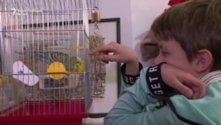 Од Мариупол до Црна Гора: Украинче и неговиот папагал