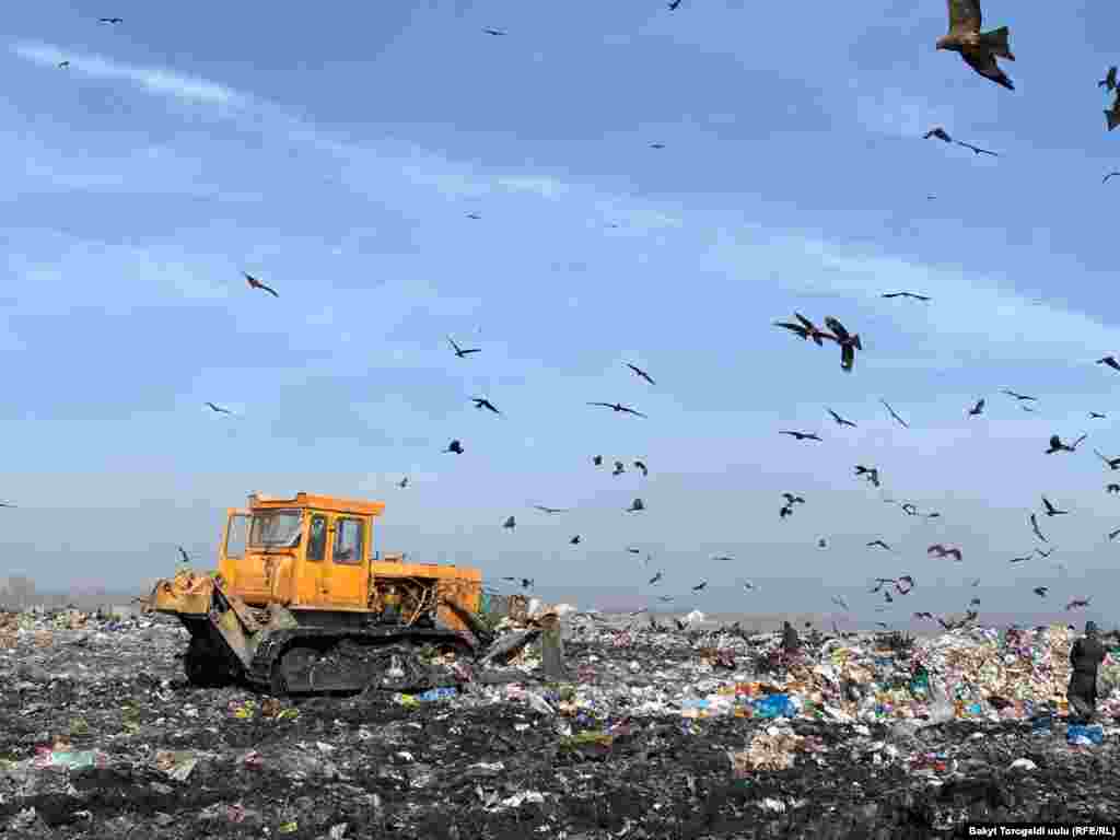 Бишкек дүйнөдөгү абасы булганыч шаарлардын сап башында. Экологдор абанын кирдешине автоунаадан чыккан газ, үйлөрдөгү мештерден жана Жылуулук электр борборунан чыккан түтүн себеп экенин айтып келишет. Бишкектеги дагы бир чоң көйгөй бул -&nbsp;таштанды талаасы.&nbsp;Бул жердеги турмуш-тиричилик калдыктары иштетилбей, көбү өрттөлөт.&nbsp; 