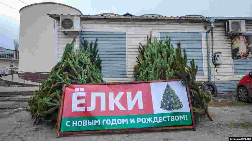 Keriçte narat bazarı. Bu yıl terek satuv yerleri merkeziy bazar yanında, Voroşılova, Orconikidze ve Voykova soqaqlarında açıldı