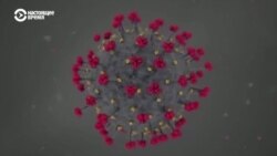 Новый штамм коронавируса «омикрон»: теперь без потери обоняния