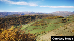 Иллюстрациялык сүрөт