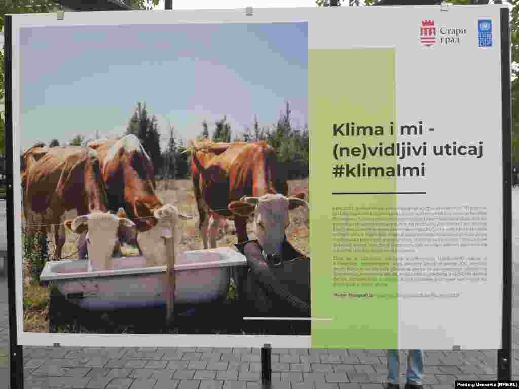 "Leto 2021. godine bilo je peto najtoplije u Srbiji u poslednjih 70 godina, sa natprosečnim brojem dana u kojima je temperatura prešla 30 stepeni. U pojedinim delovima zemlje leto je bilo je ekstremno toplo i ekstremno sušno", navodi se u materijalima UNDP-a.