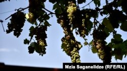 ფოტოილუსტრაცია 