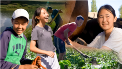 Эмгек кылып эс алган айыл балдары