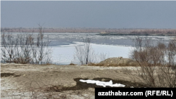 Амударья, январь, 2023 