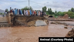 د ننګرهار د اطلاعاتو ریاست یوه مسوول قریشي بدلون مشال راډیو ته د خلکو د مرګژوبلې یادونه وکړه.