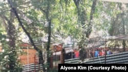 Алёна Ким Хўжандда "Очил" ресторанида ишлагани айтилади