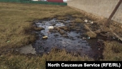 Иллюстративное фото 