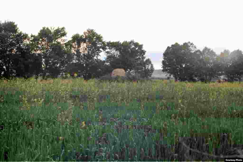 Кочкор-Башы: "Төрт-Күл" шаар чалдыбарындагы борбордук мунаранын калдыгы. 2011. - Нарын облусунун Кочкор өрөөнүндөгү Кум-Дөбө айылындагы байыркы Кочкор-Башы шаарынын борбордук мунарасынын калдыгы корулбай турат ("Төрт-Күл" чалдыбары).  Археолог Ороз Солтобаев "Азаттыкка" белек кылган сүрөт. 01.7.2011.   