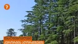 წყალტუბოელები წყალტუბოს აღორძინების გეგმის შესახებ