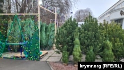 Первый елочный базар открылся в Симферополе на площади им. Куйбышева, 9 декабря 2025 года