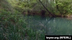 Иллюстрациялык сүрөт.