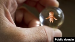 Иллюстрациялык сүрөт. 