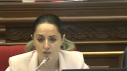 ԱԺ «Բարգավաճ Հայաստան» խմբակցության պատգամավոր Շաքե Իսայանը