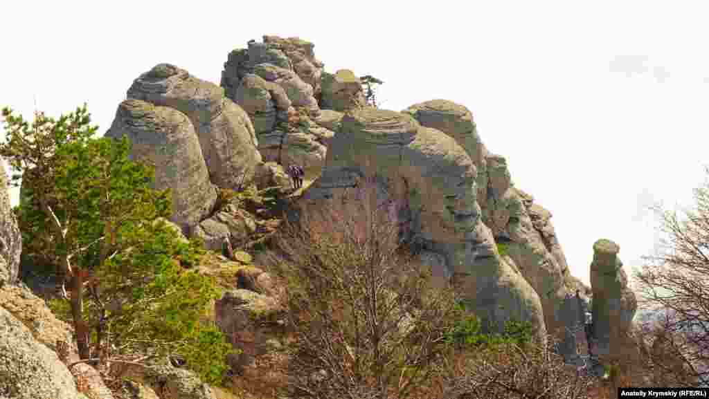 Demirciniñ "mantarları"