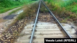 Արխիվային լուսանկար