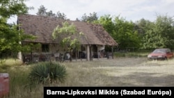 Négy év alatt megbontotta a szél a tetőt. A kocsit tönkrevágták. A gázpalackot elvitték. Se víz, se áram. Gyula így is boldog