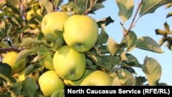 Иллюстрациялык сүрөт.