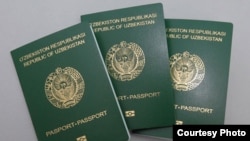 Фуқароларга уч турда – фуқаролик паспорти, фуқаролиги йўқ шахслар учун ҳаракатланиш ҳужжати ва дипломатик паспортлар берилмоқда.