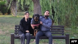 8 iunie 2025, într-un parc din Teheran. În aceea zi, presa iraniană anunța extinderea interdicțiilor cu privire la câinii de companie.