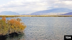 Türkmen görnüşi. "Türkmenistan: Altyn asyr" saýtynyň suraty