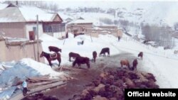 Массовая гибель домашнего скота в Кара-Кульжинском районе Ошской области. Фото предоставлено пресс-службой МЧС КР