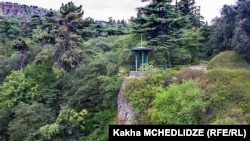 Согласно информации, опубликованной на сайте аукциона, новый владелец в течение четырех лет со дня оформления договора обязан обеспечить инфраструктуру. Кроме того, он берет на себя обязательство ухаживать за растениями на переданном участке земли