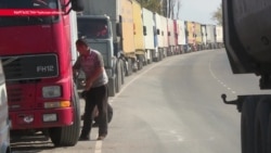 «Две недели собирали урожай». Фермеры несут убытки из-за закрытой границы