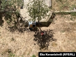 ეს წუთია, ირინამ კორპუსის წინ დადგმულ, სახელდახელოდ შეკრულ ფიცრულში მცხოვრებ ძაღლს საჭმელი დაუყარა