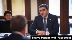 спикер парламента Шалва Папуашвили и глава парламентской делегации в ПАСЕ Тея Цулукиани