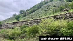 Заповедник Койтендаг 