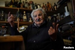 Хосе Мухика у себя дома в пригороде Монтевидео дает интервью агентству Reuters, май 2024 г.