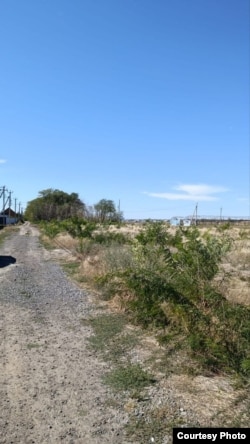 Вырубленная лесополоса рядом с Новобессергеневкой