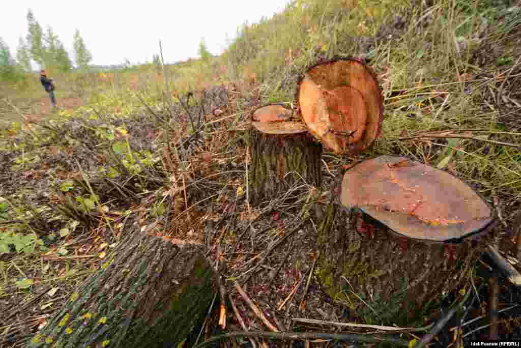 Согласно техзаданию, на парковке должны быть созданы "846 машиномест для легкового автотранспорта и 149 автобусов". Площадь парковки &ndash; 38&nbsp;141 кв.м.