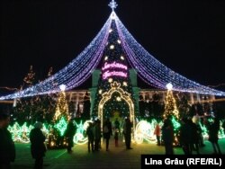 Bradul de lângă Arcul de Triumf, pe fundal - clădirea Guvernului Republicii Moldova