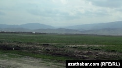 Туркменистан 