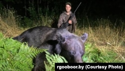 Упаляваны ў 2025 годзе мядзьведзь