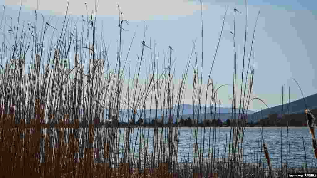 Nijneye gölü - Baydar uvasınıñ eñ büyük gölüdir