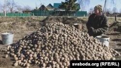 Ілюстрацыйнае фота