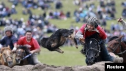 Соң-Көлдөгү көк бөрү оюну