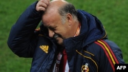 Висенте дел Боске