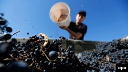 Иллюстративное фото