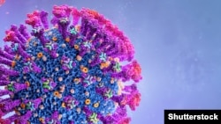 Варијантата Делта моментално е доминантна низ целиот свет, со повеќе од 98 проценти од инфекциите