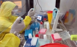 Всички производители на тестове се опитват да увеличат продукцията си, за да задоволят нарасналото търсене