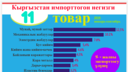 Кыргызстан импорттогон негизги товарлар. Улуттук статистика комитетинин маалыматы.