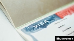 Иллюстрациялык сүрөт.