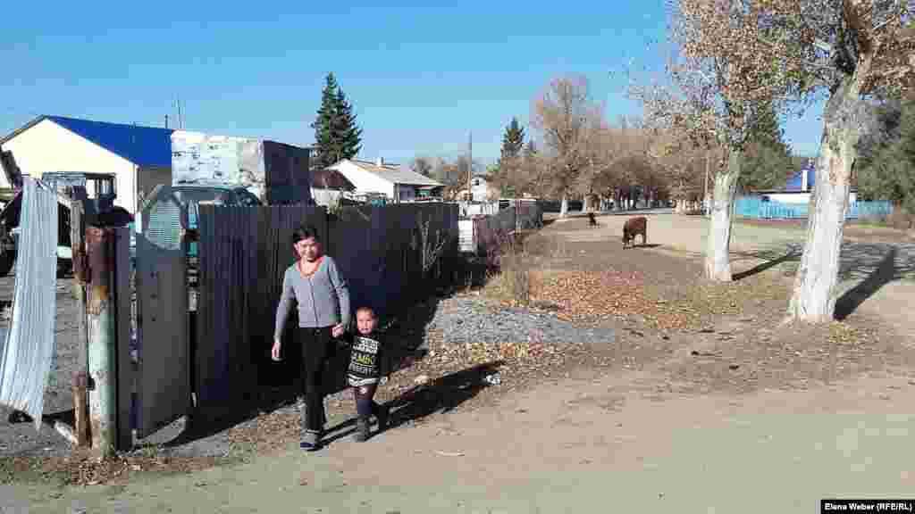 Большинство жителей села Садовое жалуются на множество проблем: отсутствие школы, детского сада, медпункта, уличного освещения, нехватку земель даже для выпаса скота и неоднократное подтопление села.&nbsp;